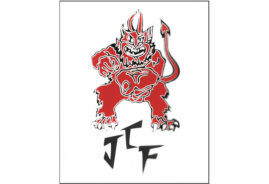 Logo du JUDO CLUB FENOUILLET